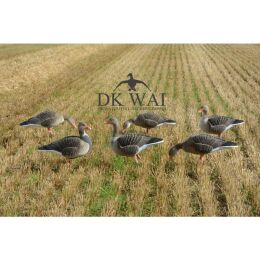 DK WAI Lockg&auml;nse Supreme (Lightweight Version) Graugans Ganz&ouml;rper im Set
