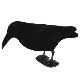 Kr&auml;henjagd-Set: 10 x Flock-Lockkr&auml;he 10 x Flock-Halbschale + Lockschmiede Kr&auml;henlocker