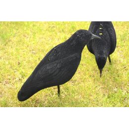 Kr&auml;henjagd-Set: 10 x Flock-Lockkr&auml;he 10 x Flock-Halbschale + Lockschmiede Kr&auml;henlocker
