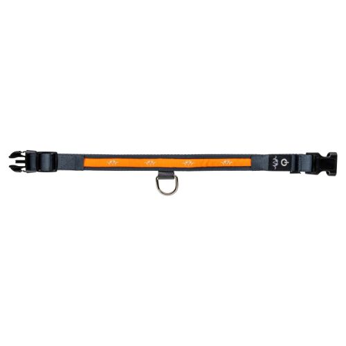 Blaser Hunde Halsband LED L