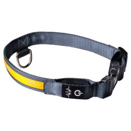 Blaser Hunde Halsband LED L
