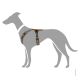 Hunter Geschirr Maldon Up Braun/Grau 53-71/M