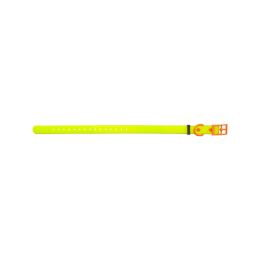 HP&amp;G Hundehalsband 19 mm Gelb