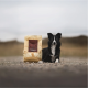 Essential Foods Essential The Beginning Large Breed 2,5 kg
