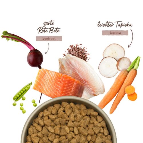 Bosch Hunde Trockenfutter HPC Men Adult Nordsee-Lachs & Forelle getr,  16,49