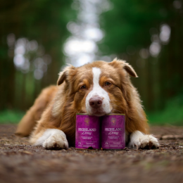 Essential Foods Nassfutter Essential Highland Living Pate...