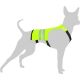 Flamingo Hunde Sicherheitsmantel Fluo Grüngelb XL