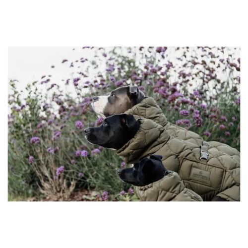 Kentucky Dogwear Hundemantel Winter Pina 160g Tannengrn