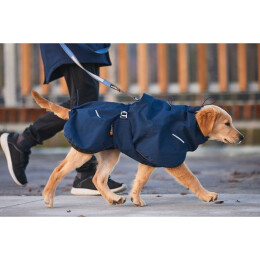 Non-stop Dogwear Hundemantel Glacier Wool Jacket 2.0 Dunkelblau 70