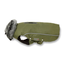 Wolters Winterjacke Amundsen f&uuml;r Dackel Oliv 36cm