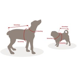 Wolters Winterjacke Amundsen f&uuml;r Dackel Oliv 46cm