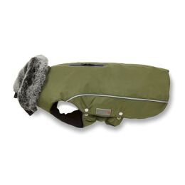Wolters Winterjacke Amundsen f&uuml;r Dackel Oliv 48cm