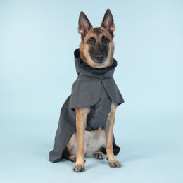 Paikka Hunderegenmantel Visibility Dunkelgrau 55