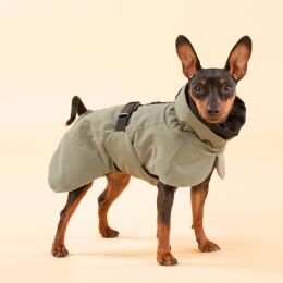 Paikka Hundemantel Visibility Winter Olivgr&uuml;n 55