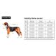 Paikka Hundemantel Visibility Winter Olivgrün 65