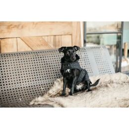 Kentucky Dogwear Hundemantel Original Schwarz Dachshund 40 cm