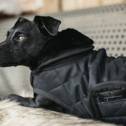 Kentucky Dogwear Hundemantel Original Schwarz XL 62cm