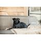 Kentucky Dogwear Hundemantel Original Schwarz XL 62cm