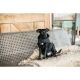 Kentucky Dogwear Hundemantel Original Schwarz XL 62cm