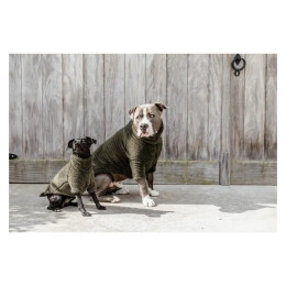 Kentucky Dogwear Hundepullover Teddy Fleece Tannengr&uuml;n XXS-25cm