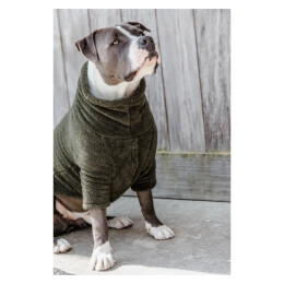Kentucky Dogwear Hundepullover Teddy Fleece Tannengr&uuml;n XXS-25cm