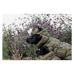 Kentucky Dogwear Hundemantel Winter Pina 160g Tannengr&uuml;n XL 62-69cm
