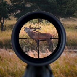 Minox Zielfernrohr RS6 1-6x24 Abs. 54