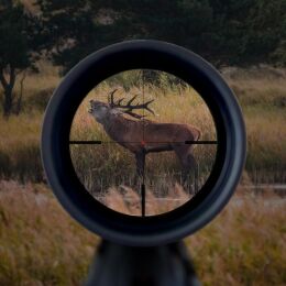 Minox Zielfernrohr RS6 1-6x24 Abs. 54