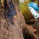 Eurohunt Qualitäts-Buchenholzteer Sprühdose 500 ml