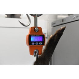 Heck-Pack Digitale Wildwaage 300kg