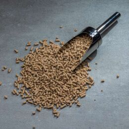 Eurohunt Futterautomat Evolution mit Power Lock Pellets 2 kg Sack