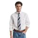Gant Herren Hemd Classic Poplin
