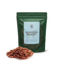 Essential Foods Motivation Delights 500g