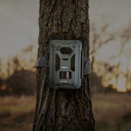 SPYPOINT Wildkamera Force-24