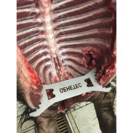 Gehetec Edelstahl-Wildspreizer Wild Boar