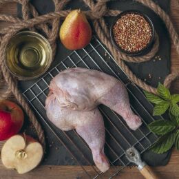 Liebesgut Hundenassfutter Junior Bio Huhn mit Apfel und Buchweizen 6x800g