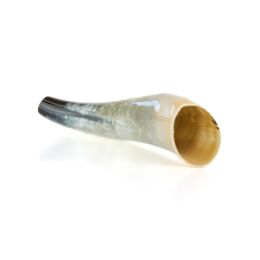 Weisskirchen Ochsenhorn Hirschruf 40 cm