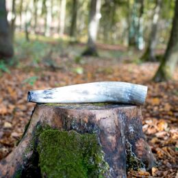 Weisskirchen Ochsenhorn Hirschruf 40 cm