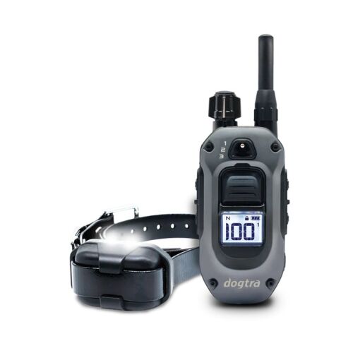 Dogtra Ferntrainer 640X