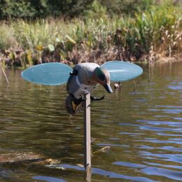 MOJO Green Wing Lockente