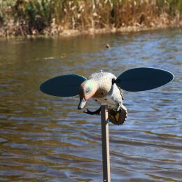 MOJO Green Wing Lockente