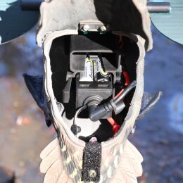 MOJO Green Wing Lockente