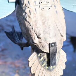 MOJO Green Wing Lockente