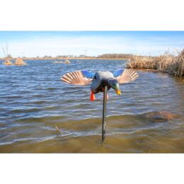 MOJO Elite Series™ Mini Mallard Drake Lockente