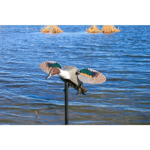 MOJO Elite Series™ Pintail Lockente