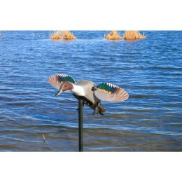 MOJO Elite Series™ Pintail Lockente