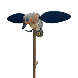 MOJO Mallard Drake UN3481 Lockente