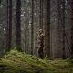 Härkila Herren Weste Deer Stalker Camo Reversible Packable Willow green/AXIS MSPÂ®Forest