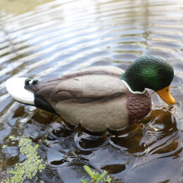 MOJO Lockente Rippler 2