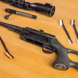 Lupus Beidseitige Reinigungsb&uuml;rsten